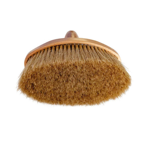 brosse à chaux ovale