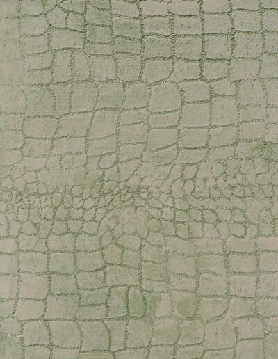 Planche d'échantillons de crocodile