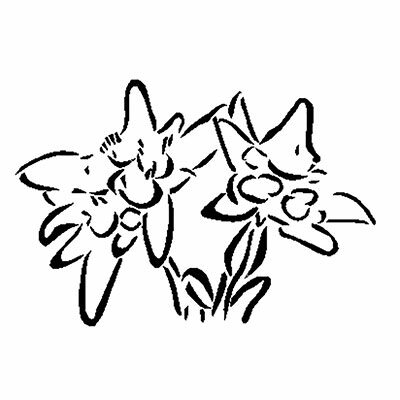 Painting Stencil Edelweiss Pair